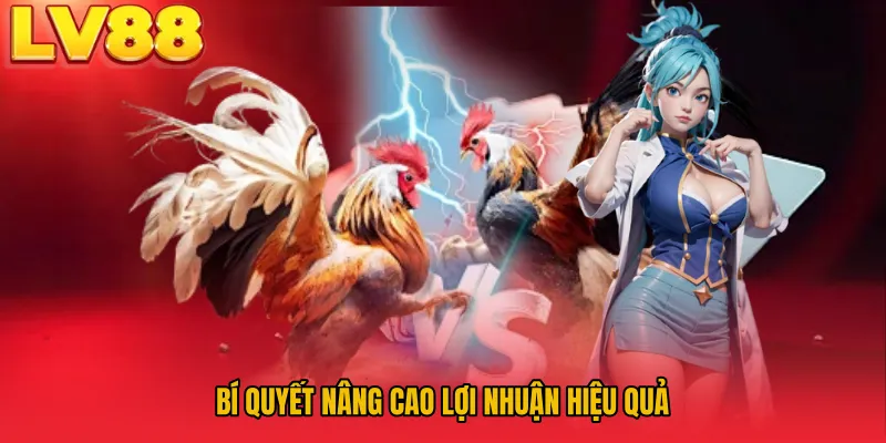 Bí quyết nâng cao lợi nhuận hiệu quả