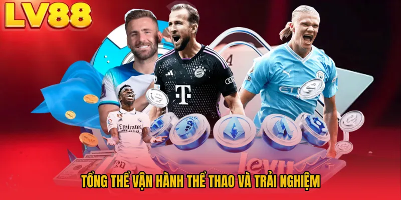 Tổng thể vận hành thể thao và trải nghiệm