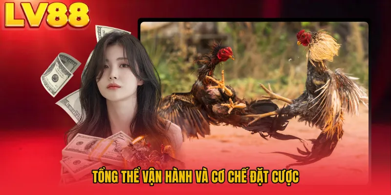 Tổng thể vận hành và cơ chế đặt cược